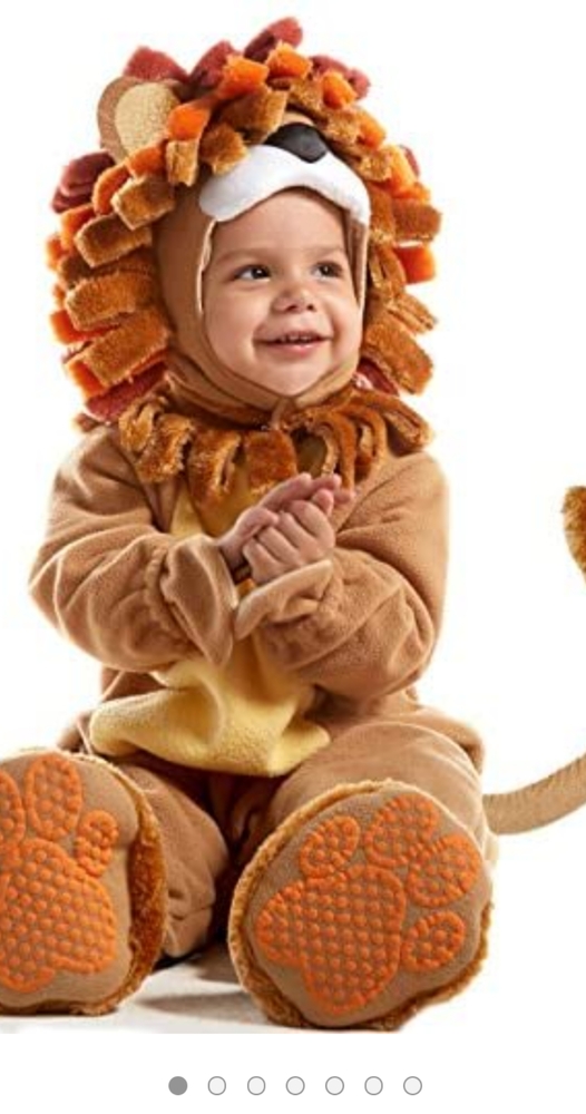 Lion costume